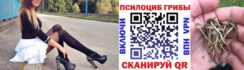 Галлюциногенные грибы Psilocybine cubensis Белорецк